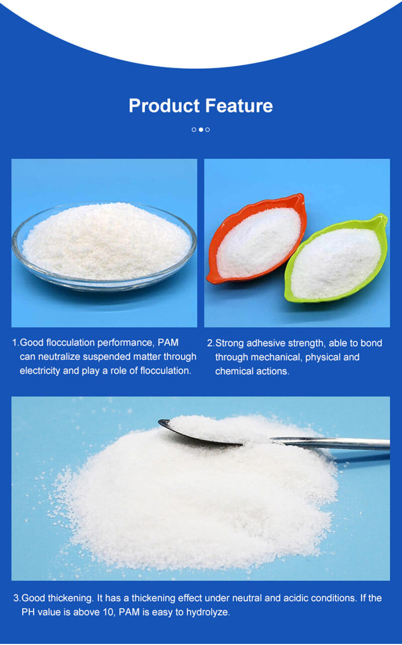 anionic polymer 6